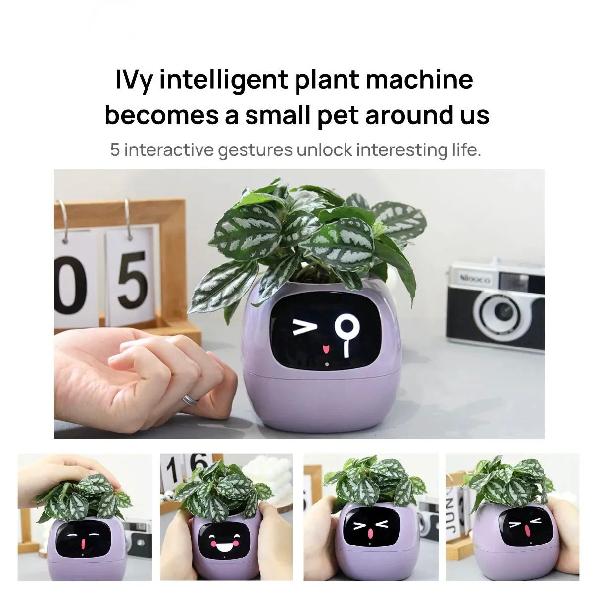 Smart Garden Companion™