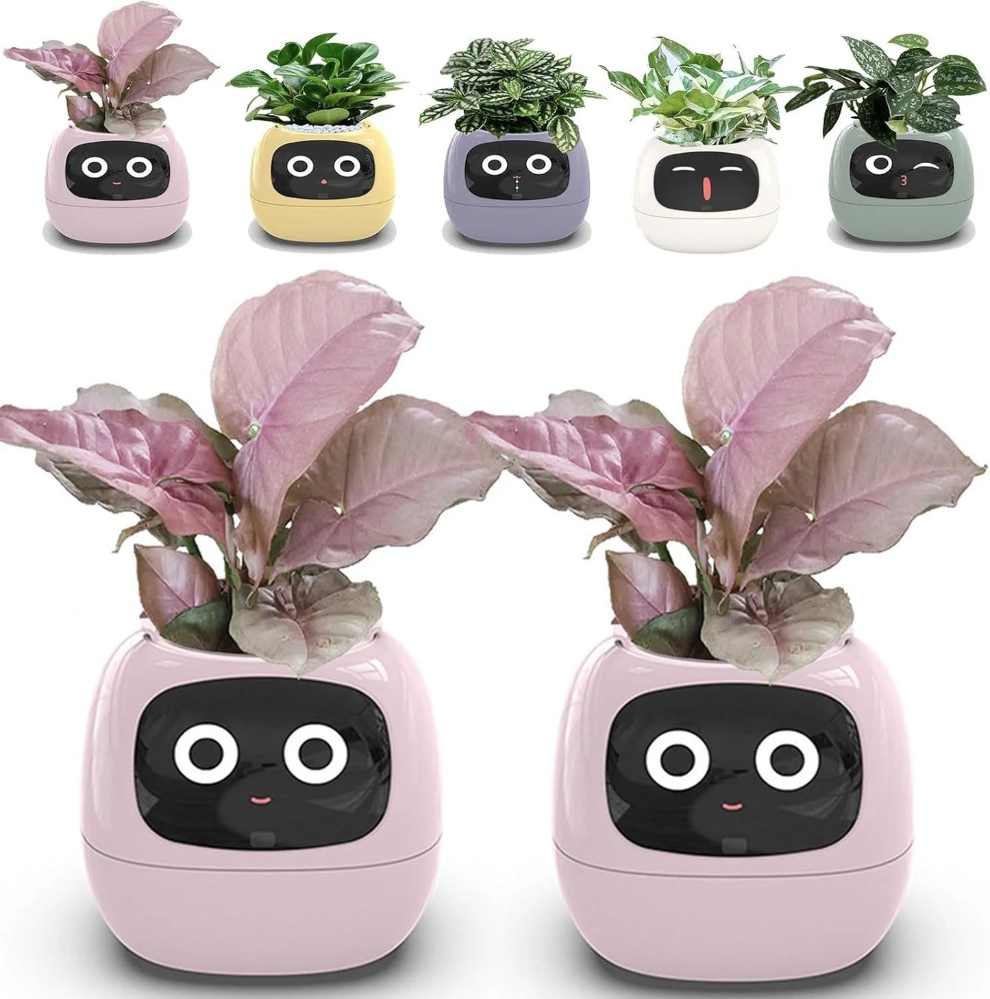 Smart Garden Companion™