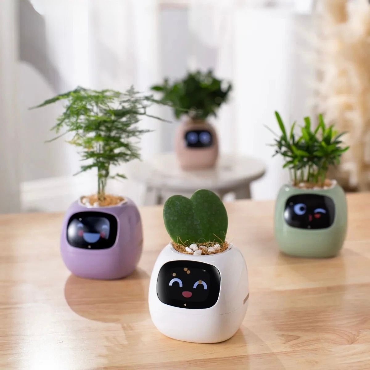 Smart Garden Companion™