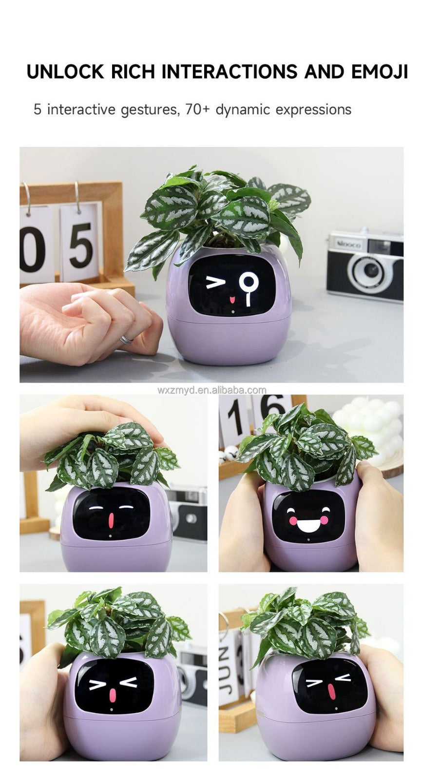 Smart Garden Companion™
