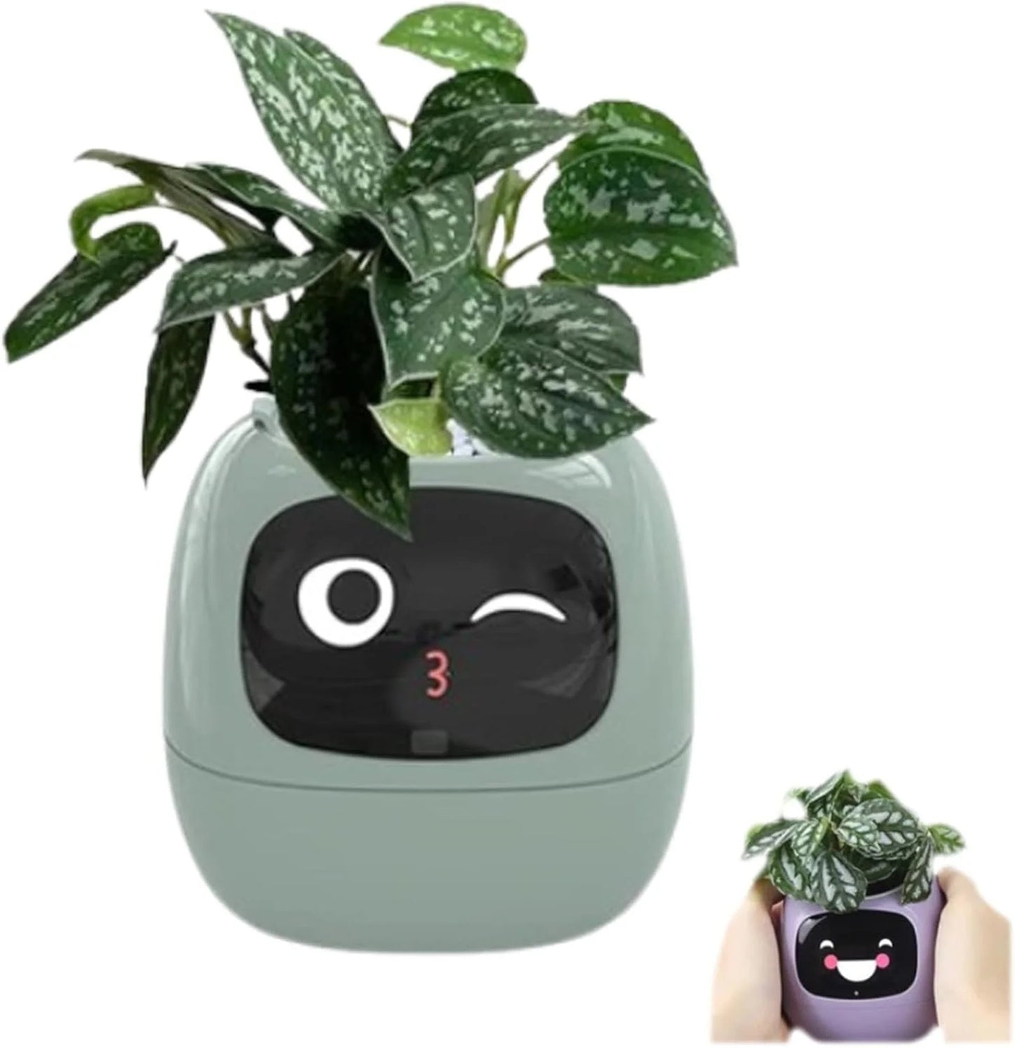 Smart Garden Companion™