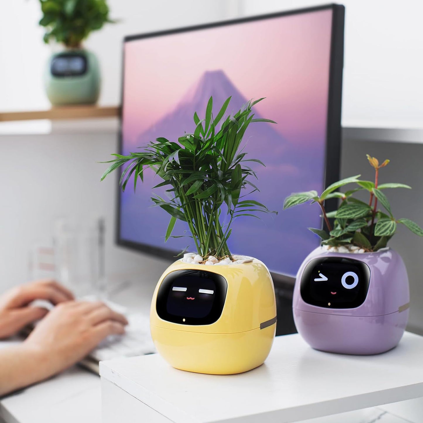 Smart Garden Companion™