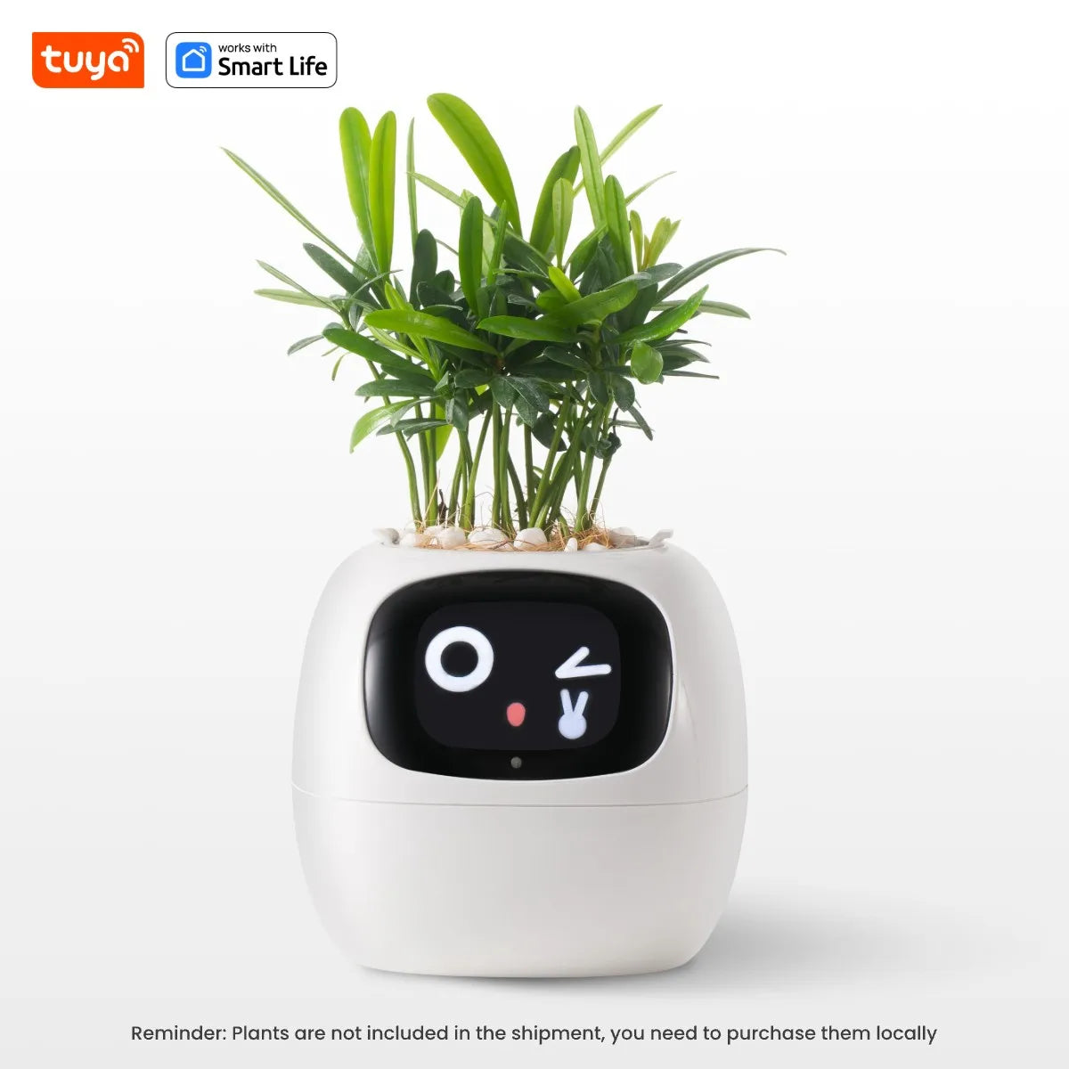 Smart Garden Companion™