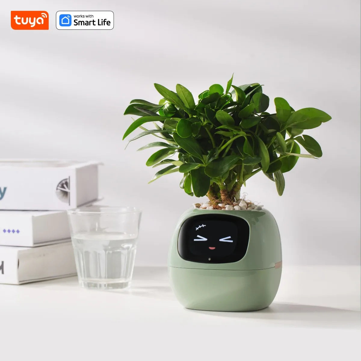Smart Garden Companion™