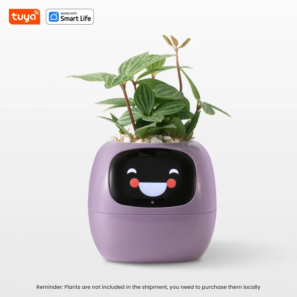 Smart Garden Companion™