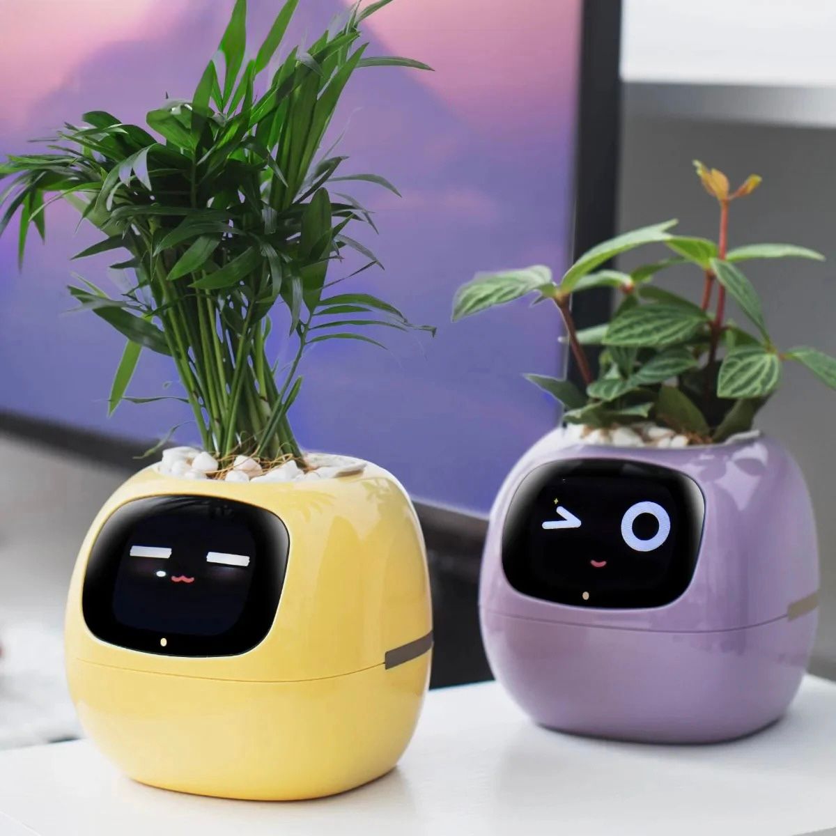 Smart Garden Companion™