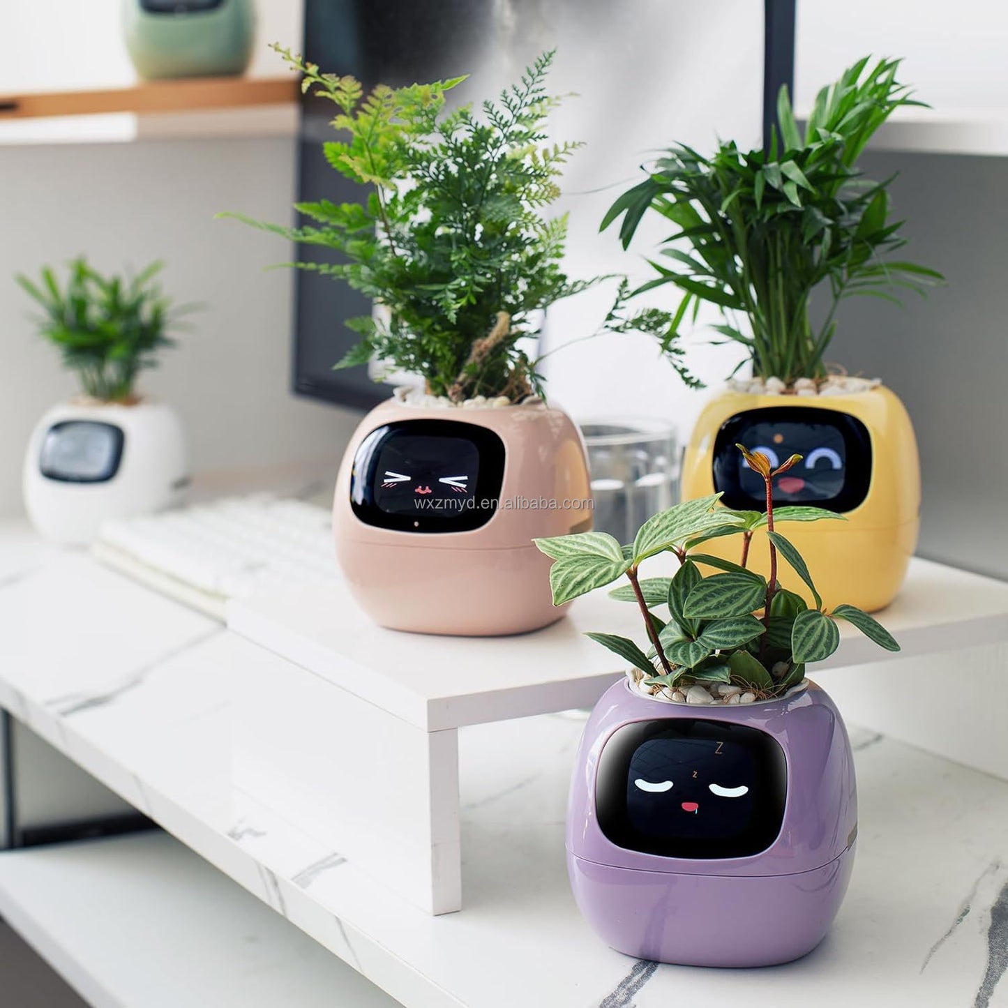 Smart Garden Companion™