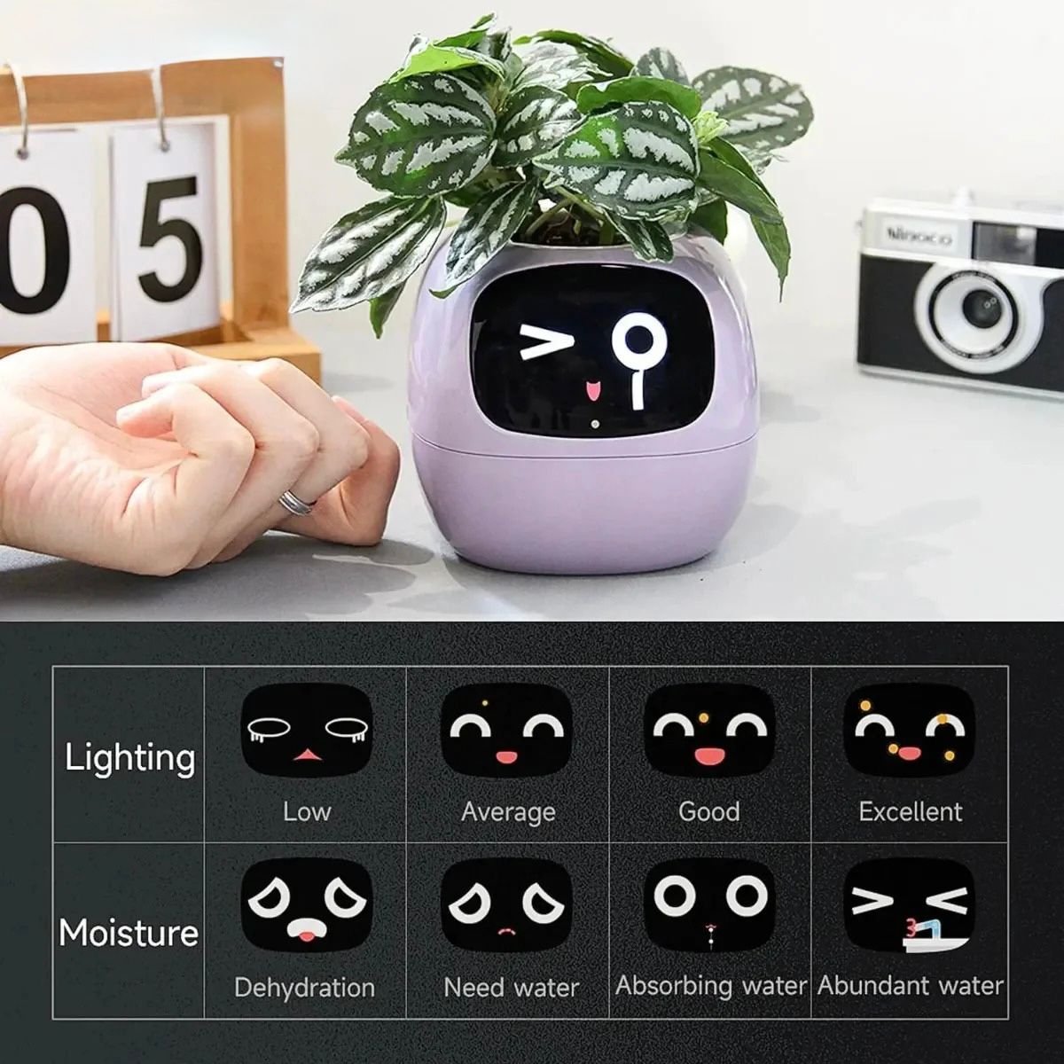 Smart Garden Companion™