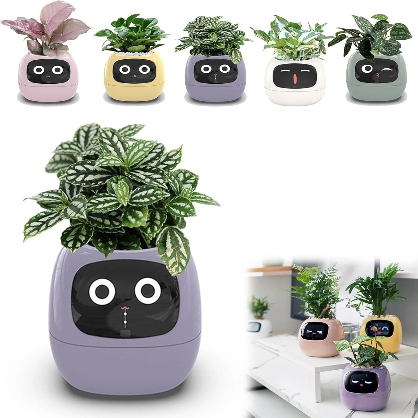 Smart Garden Companion™