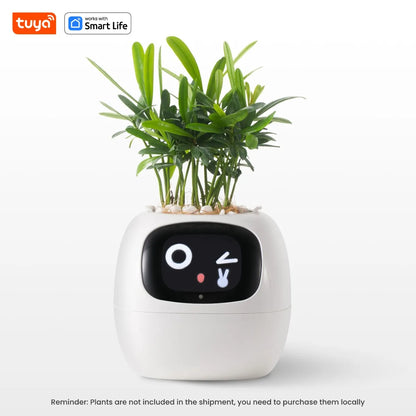 Smart Garden Companion™